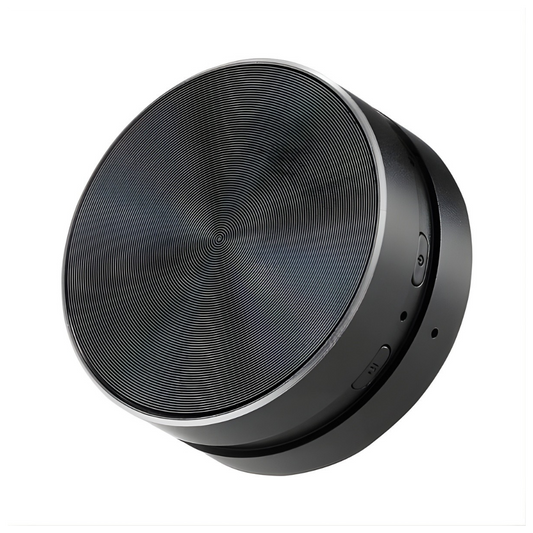 Mini Speaker that Multiples Sound